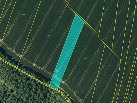 Prodej pole, Kojetín, 2603 m2