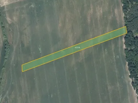 Prodej pole, Džbánice, 6560 m2