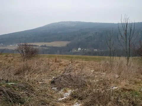 Prodej pozemku pro bydlení, Jince, 2172 m2