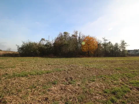 Prodej pozemku, Dolní Břežany, Keltská, 3508 m2