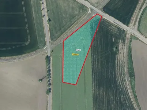 Prodej pole, Čížkovice, 6270 m2