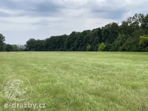 Dražba pole, Oseček, 83999 m2