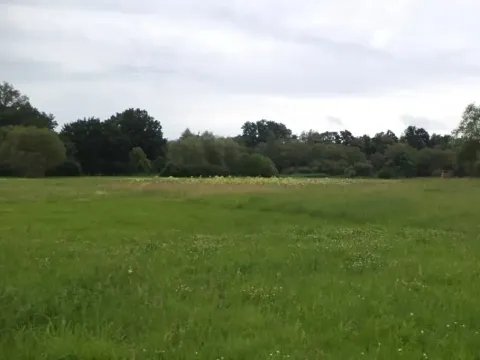 Dražba louky, Česká Lípa, 5581 m2