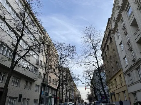 Prodej bytu 2+1, Praha, Vinohradská, 72 m2