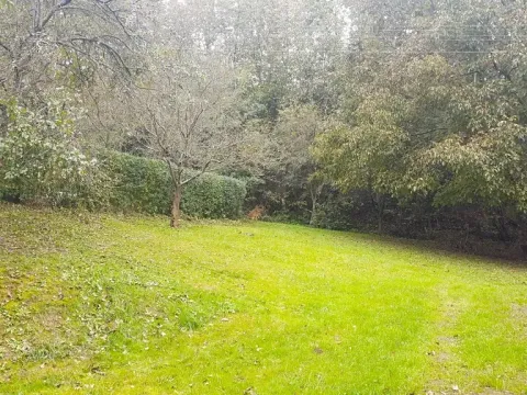 Prodej zahrady, Libina, 239 m2