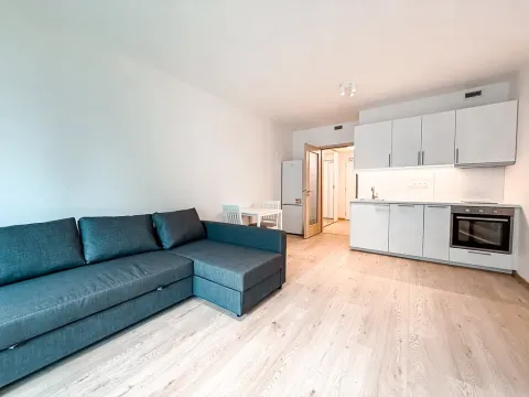 Pronájem bytu 1+kk, Praha - Hloubětín, Poděbradská, 37 m2