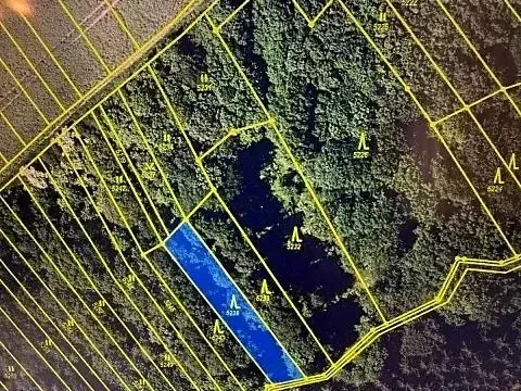 Prodej lesa, Březolupy, 628 m2