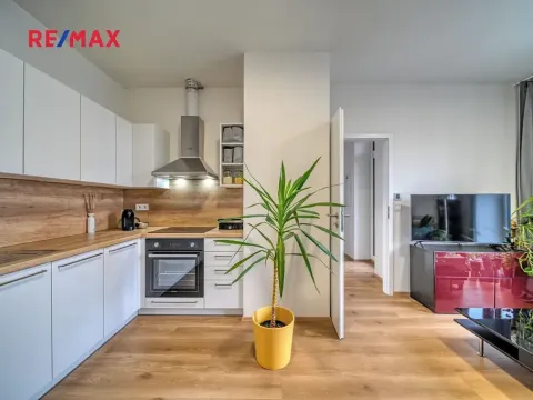 Pronájem bytu 2+kk, Kolín, Zengrova, 38 m2