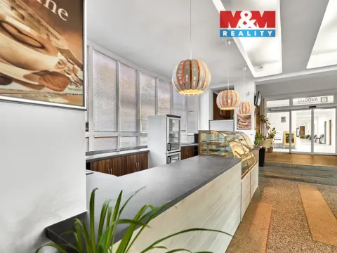 Pronájem obchodního prostoru, Ostrov, Lidická, 120 m2