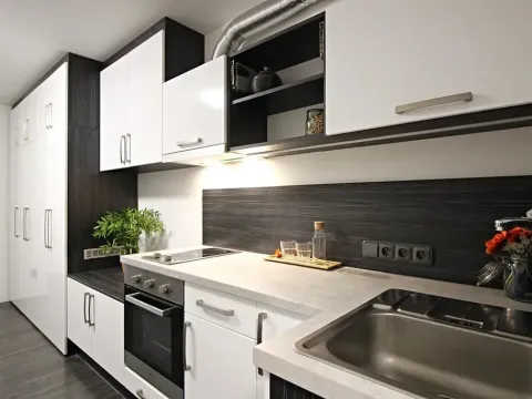 Pronájem bytu 1+kk, Brno, Jeneweinova, 36 m2