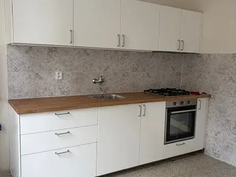 Pronájem bytu 2+1, Praha, U družstva Repo, 54 m2