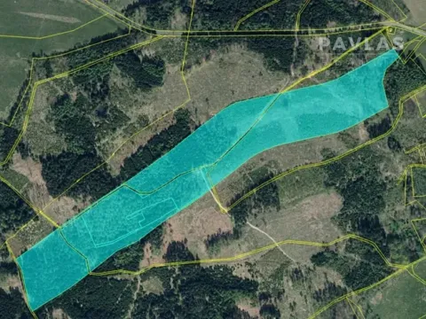 Prodej lesa, Jiříkov, 126160 m2
