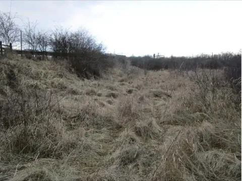 Prodej lesa, Ústí nad Labem, 3506 m2