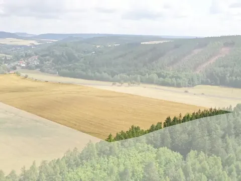 Prodej pole, Nečtiny, 45332 m2