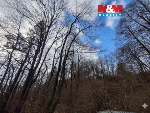 Prodej lesa, Nový Jičín - Straník, 87259 m2