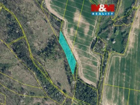 Prodej lesa, Kravaře, 4458 m2