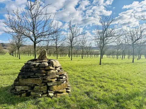 Pronájem sadu/vinice, Komňa, 50600 m2