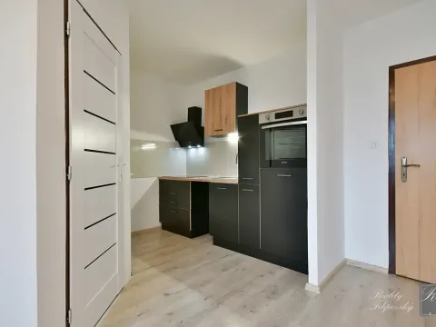 Pronájem bytu 1+kk, Ústí nad Labem, Obvodová, 31 m2