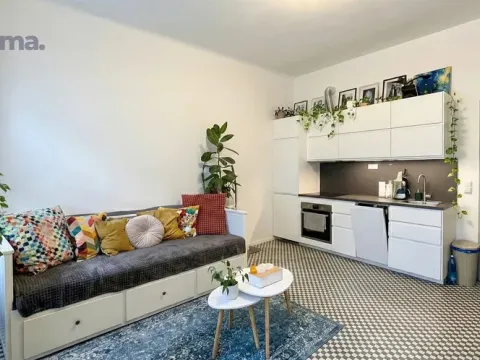 Pronájem bytu 1+kk, Praha - Vinohrady, Velehradská, 29 m2