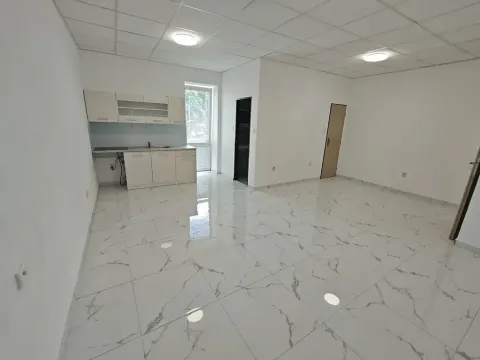 Pronájem bytu 1+kk, Teplice, U Červeného kostela, 42 m2