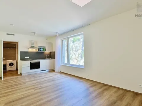 Pronájem bytu 1+kk, Brno, Bystrcká, 30 m2