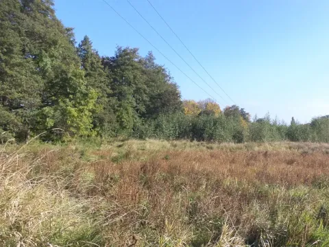 Dražba louky, Církvice, 2352 m2