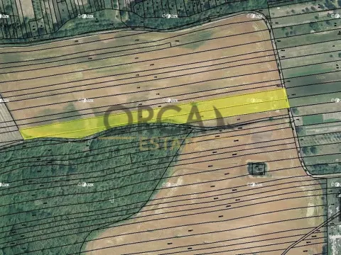 Prodej pole, Syrovín, 5796 m2