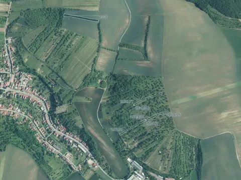 Prodej pole, Boleradice, 6736 m2