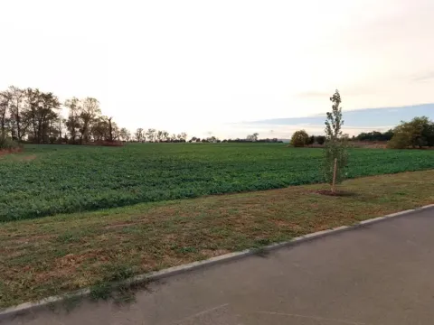 Prodej pozemku pro bydlení, Veselí nad Moravou, 580 m2