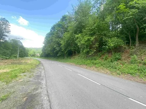 Dražba pozemku, Malá Bystřice, 933 m2