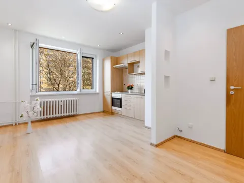 Prodej bytu 1+kk, Havířov - Podlesí, Šrámkova, 25 m2