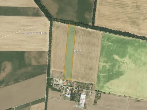 Prodej pole, Hrušovany nad Jevišovkou, 32051 m2