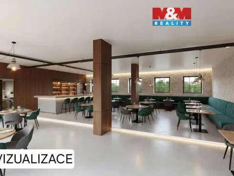 Pronájem kanceláře, Domažlice - Město, 244 m2