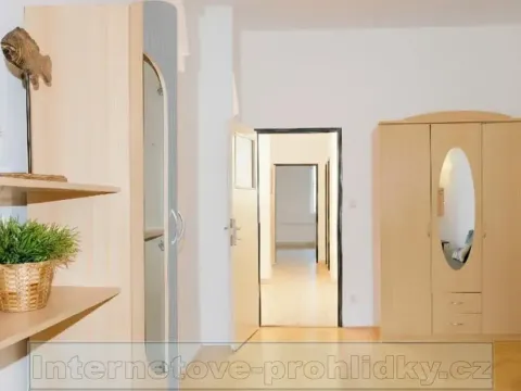 Pronájem pokoje, Praha - Břevnov, Bělohorská, 22 m2