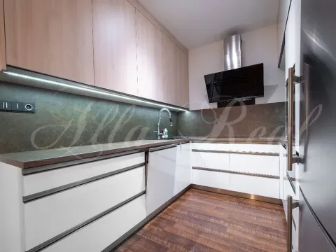 Pronájem bytu 2+kk, Brno - Slatina, Langrova, 66 m2