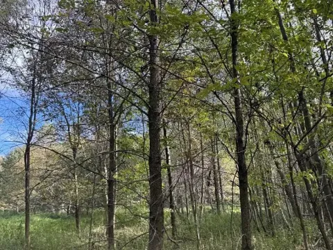 Prodej pole, Bohumín, 4224 m2