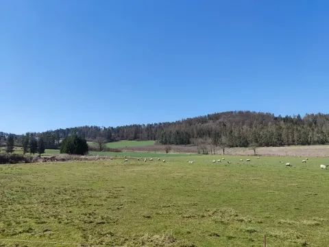 Prodej pozemku pro bydlení, Horažďovice, 1125 m2