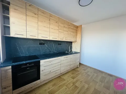 Pronájem bytu 3+1, Dolany, 98 m2