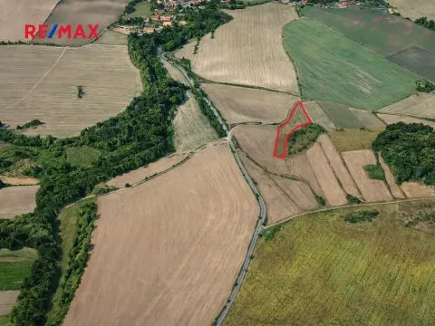 Prodej pole, Číčovice, 6121 m2