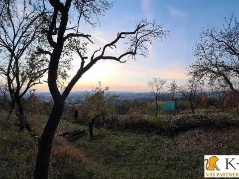 Prodej zahrady, Brno - Židenice, 1227 m2