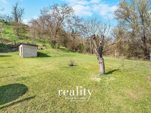 Prodej zahrady, Nový Šaldorf-Sedlešovice, 3000 m2