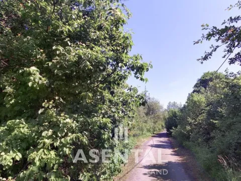 Prodej komerčního pozemku, Karviná - Lázně Darkov, Svornosti, 9188 m2