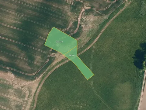 Prodej pole, Černotín, 3040 m2