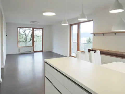 Pronájem bytu 3+kk, Brno, Pastviny, 99 m2