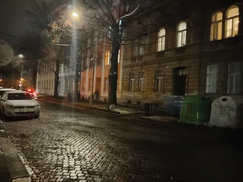 Pronájem komerční nemovitosti, Prostějov, Havlíčkova, 64 m2