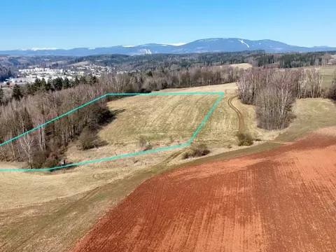 Prodej louky, Chotěvice, 24195 m2