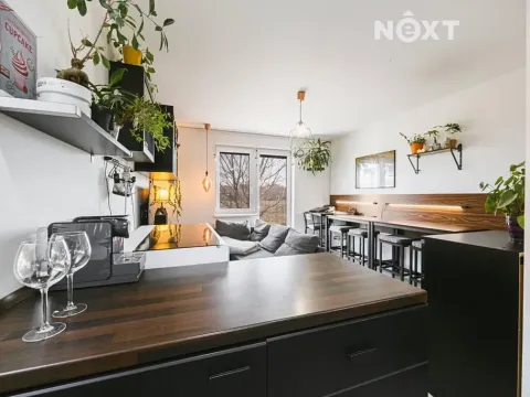 Prodej bytu 3+kk, Slavkov u Brna, Zelnice I, 64 m2