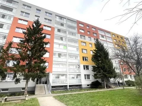 Pronájem bytu 1+kk, Praha - Chodov, Nad Opatovem, 30 m2