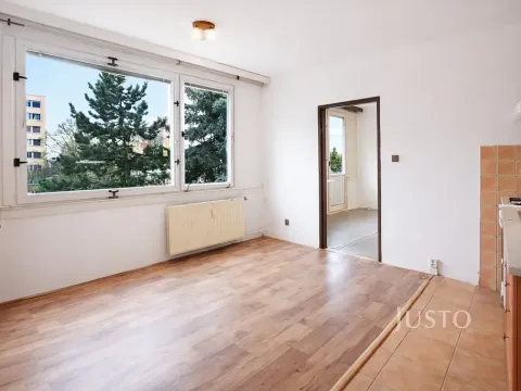 Prodej bytu 1+1, Písek, třída Přátelství, 38 m2