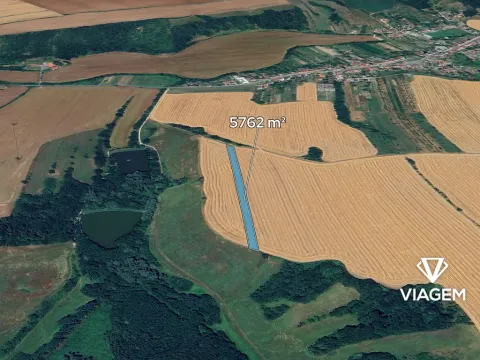 Prodej pole, Nedachlebice, 5762 m2